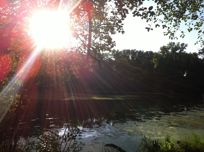 Thumbnail image for Lessons from the First 2 Months of Create the Map