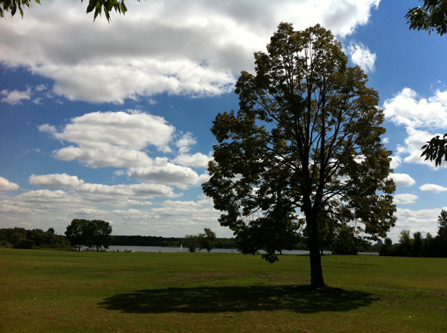 Thumbnail image for Go At Your Own Pace